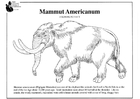 Disegno da colorare mammut americano