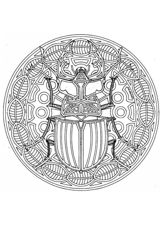 Disegno da colorare mandala scarabeo