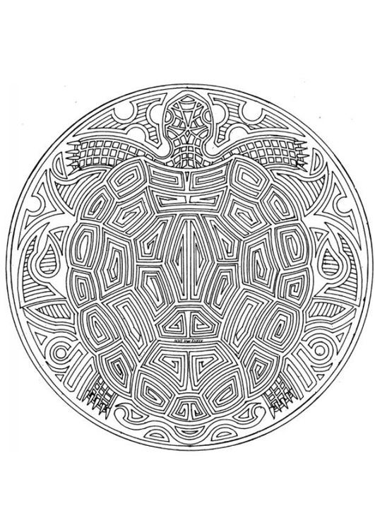 Disegno da colorare mandala tartaruga