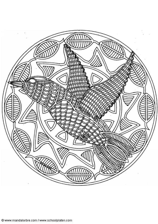 Disegno da colorare mandala - uccello