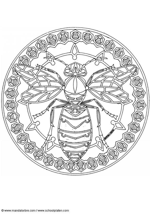 Disegno da colorare mandala vespa