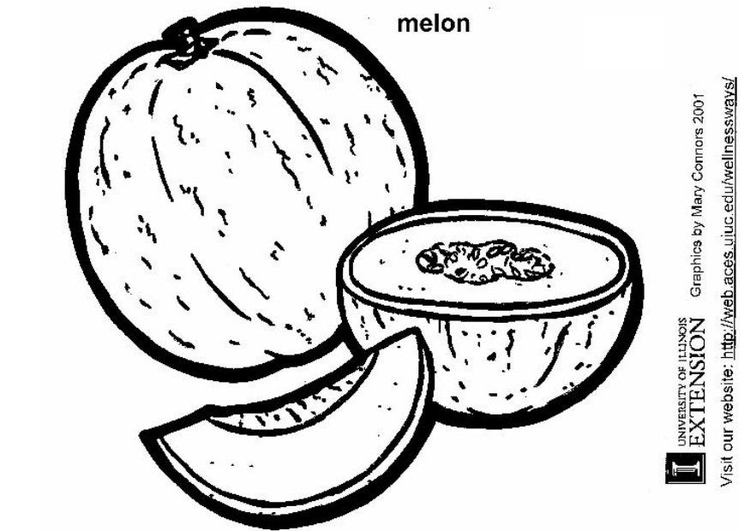 Disegno da colorare melone