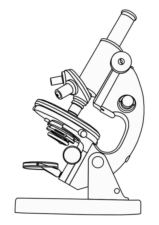 Disegno da colorare microscopio