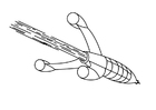 Disegno da colorare missile