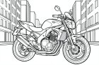 motociclo