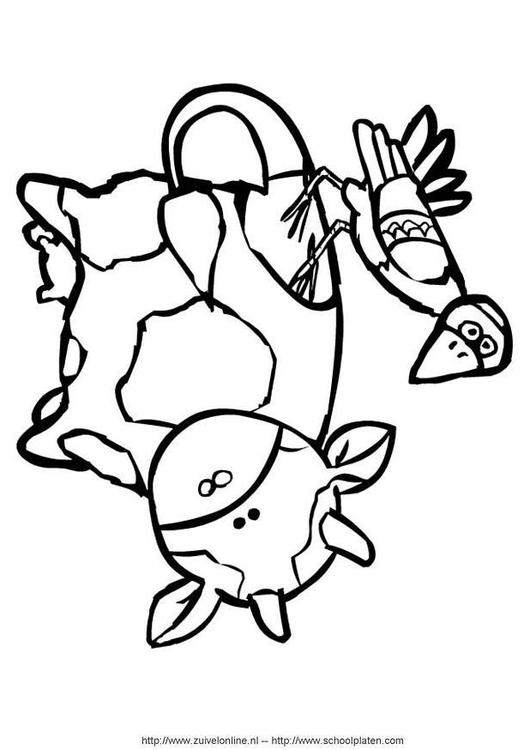 mucca 3