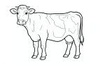 Disegno da colorare mucca