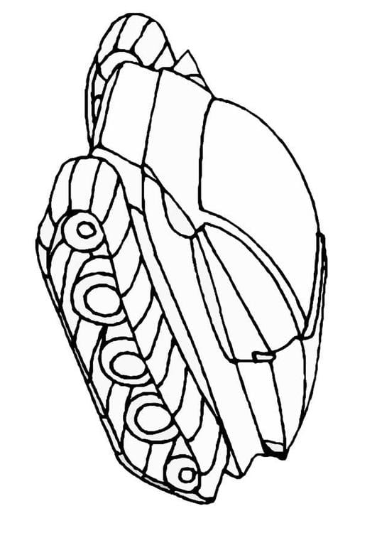 navicella spaziale