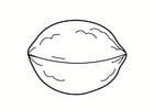 Disegni da colorare noce