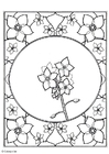 disegno-da-colorare non-ti-scordar-di-me