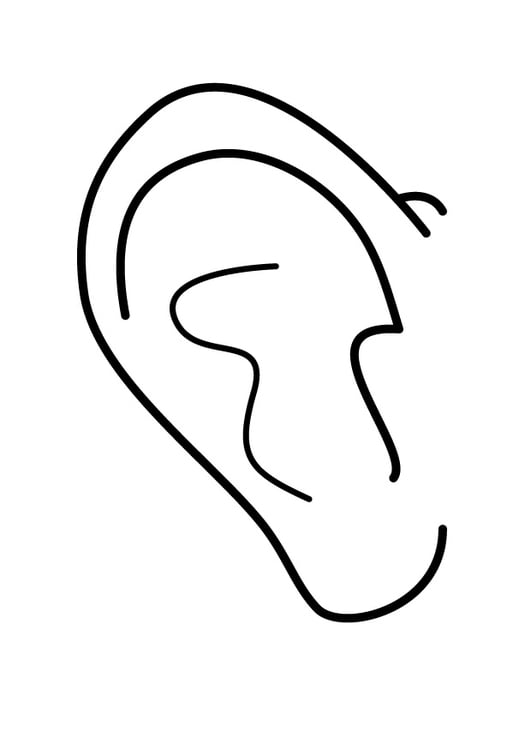 Disegno da colorare orecchio