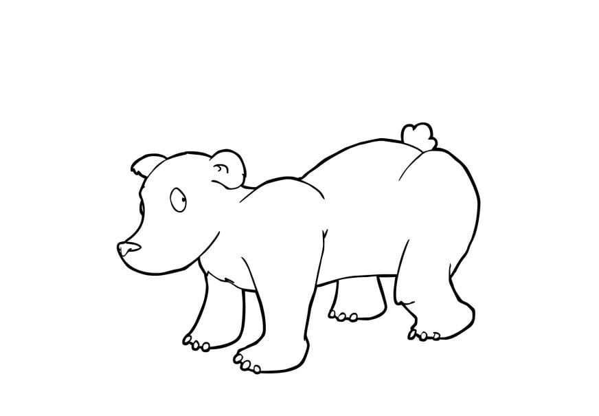 Disegno da colorare orsetto