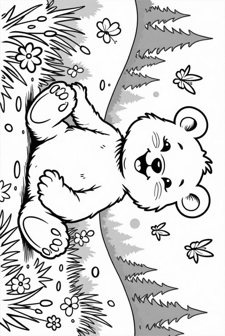 orso felice