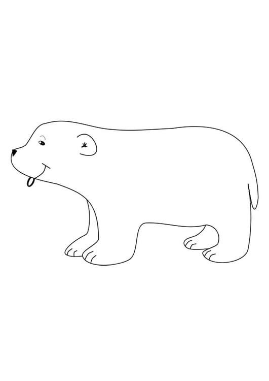 Disegno da colorare orso polare
