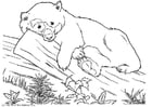 Disegno da colorare orso