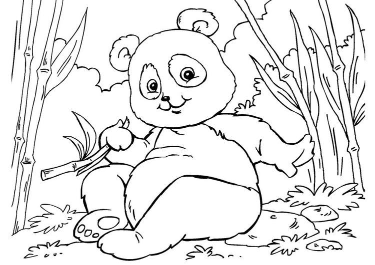 Disegno da colorare panda