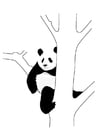 Disegni da colorare panda nell'albero