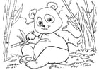 Disegno da colorare panda