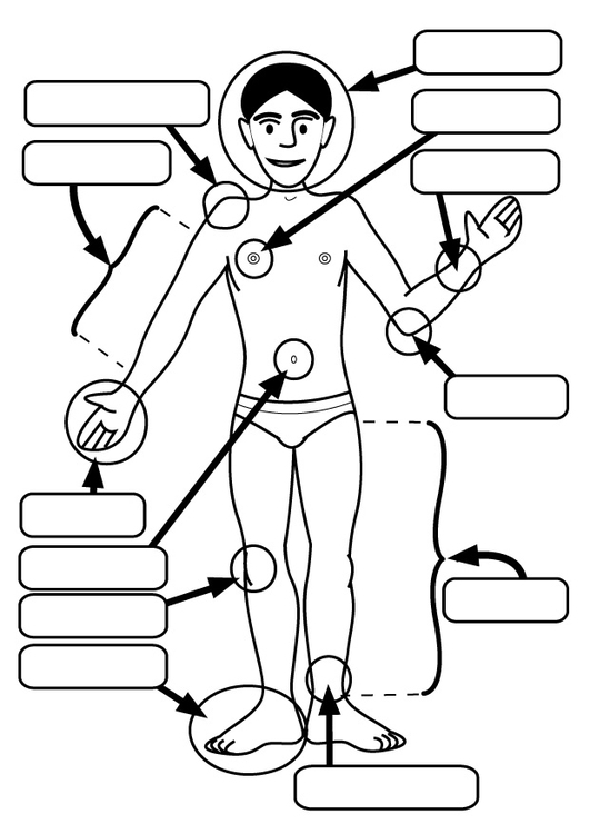 Disegno da colorare parti del corpo