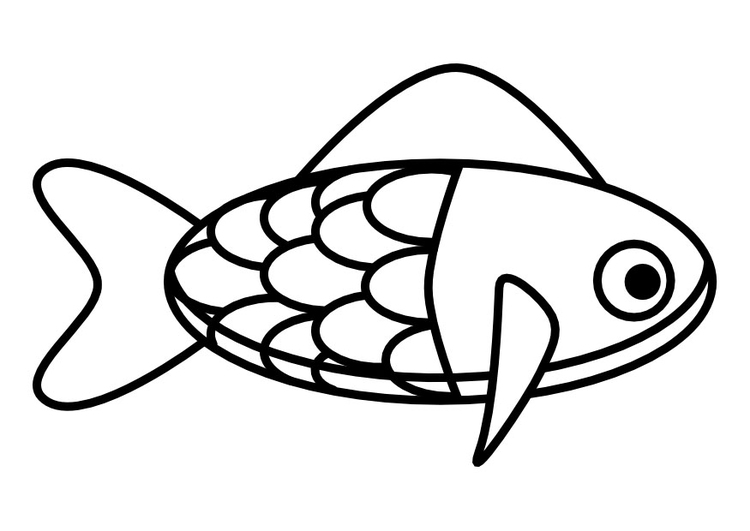 Disegno da colorare pesce Disegni Da Colorare E Stampare
