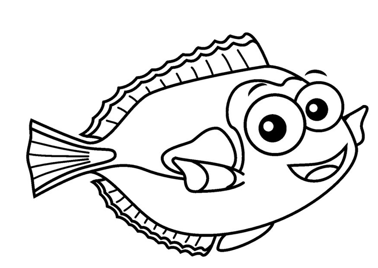 Disegno da colorare pesce dottore