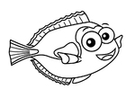 Disegni da colorare pesce dottore