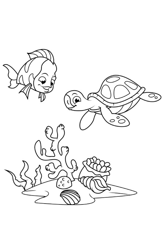Disegno da colorare pesce e tartaruga d&#39;acqua