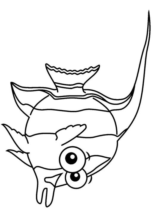 pesce