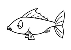 Disegni da colorare pesce