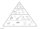 piramide alimentare