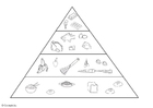 Disegni da colorare piramide alimentare