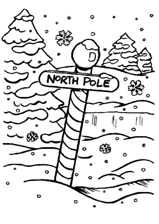 Disegno da colorare Polo nord