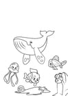 Disegno da colorare polpo balena e pesce