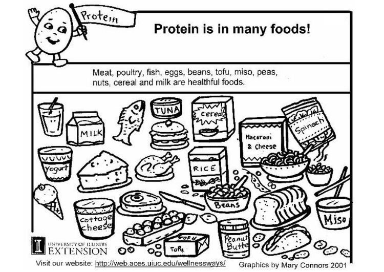 Disegno da colorare proteine nell'alimentazione