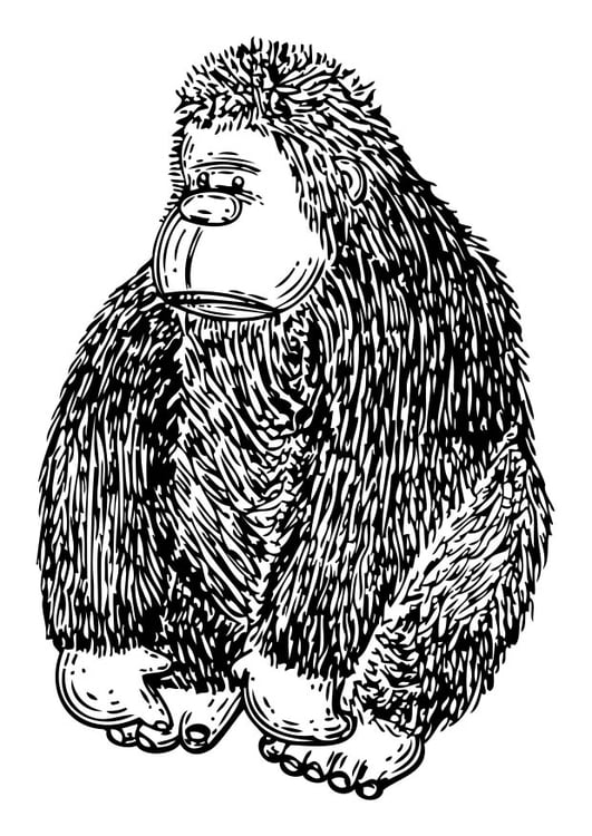 Disegno da colorare pupazzo - gorilla
