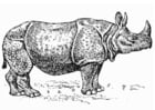 Disegni da colorare rinoceronte