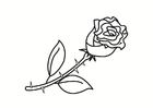disegno-da-colorare rosa