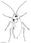 Disegno da colorare scarafaggio
