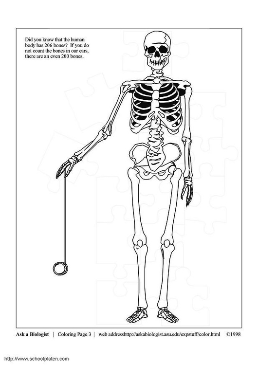 Disegno da colorare sceletro