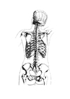 Disegni da colorare scheletro visto da dietro