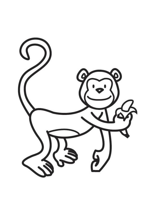 Disegno da colorare scimmia