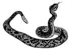 Disegni da colorare serpente a sonagli