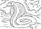 Disegno da colorare serpente - cobra