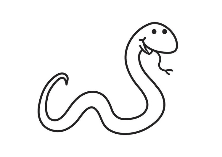 Disegno da colorare serpente