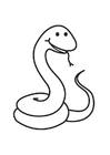 Disegni da colorare serpente