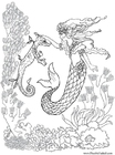 Disegni da colorare sirena e cavalluccio marino