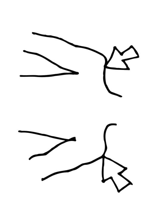 spalle