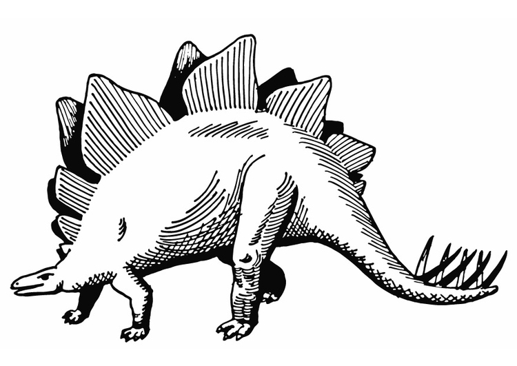 Disegno da colorare stegosauro