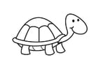 Disegni da colorare tartaruga
