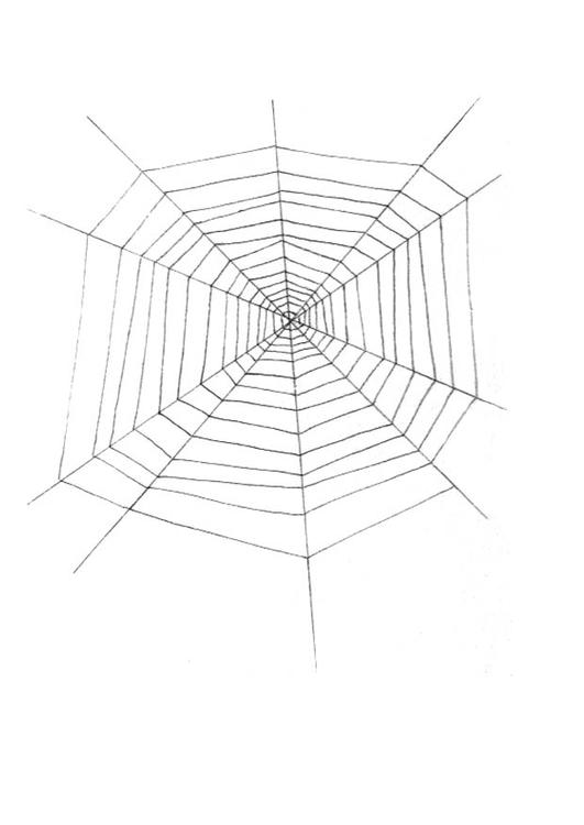 tela di ragno